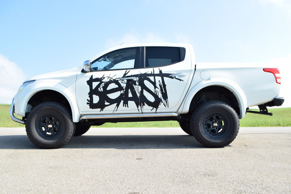 BEAST-Logo f.Seiten u. Heck